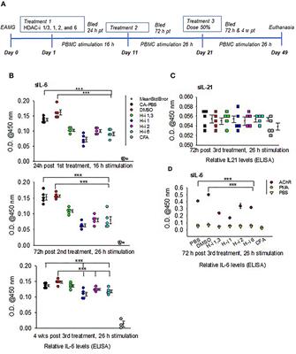 Histone Deacetylase Isoforms Differentially Modulate Inflammatory and Autoantibody Responses in a Mouse Model of Myasthenia Gravis